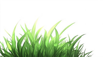 Obraz premium Lush Green Grass Blades on White: A Close-Up View