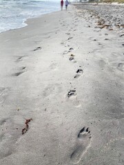 footprints on the beach