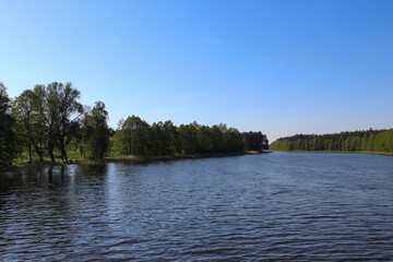 View of Lake Wydmińskie and the trees surrounding it, Wydminy, Poland, Warmian-Masurian Voivodeship