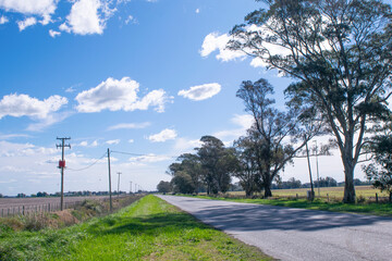 Naklejka premium Landscape in Argentina ,Road and trees