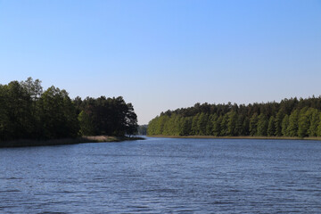 View of Lake Wydmińskie and the trees surrounding it, Wydminy, Poland, Warmian-Masurian Voivodeship