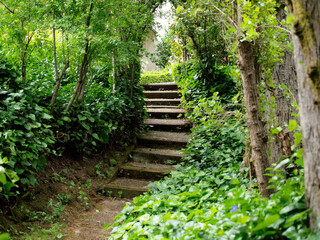 A lush wooden path with steep stone steps leads through dense greenery in a tranquil forest during daylight