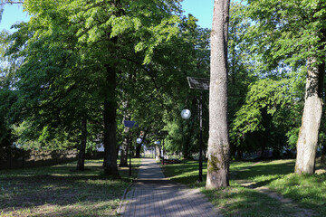Solar lamps installed on the avenue among trees