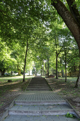 Solar lanterns installed on the avenue among trees