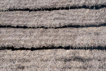 texture of a thatched roof