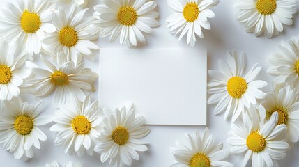 Fototapeta premium Blank white card surrounded by white daisies on white background, flat lay composition, top view, copy space, floral greeting card mockup