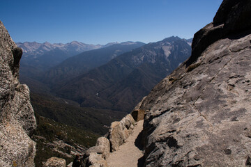 Sequioia national park
