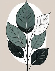 Fototapeta premium Tropical ficus leaves in a minimalist trendy style. Silhouette of a plant in a contemporary simple abstract style