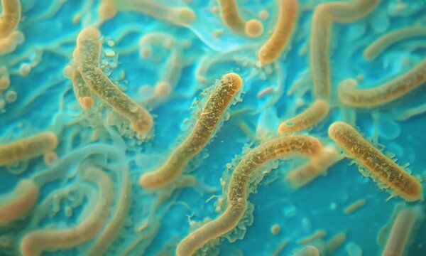 bacteria and microscope, bacteria and virus