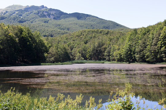 A beautiful landscape at Lagastrello