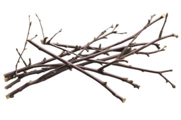 Collection of dark brown twigs in diagonal line on gray background. Twigs overlapping, creating depth, dimension. Dry branches, twigs, isolated on alpha layer, brown, campfire, firewood, forest, Png.