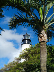 The historic, old and beautiful Key West Lighthouse framed by a tropical coconut palm tree against a perfect blue sky