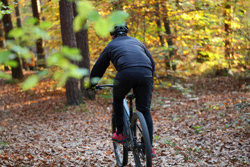 Herbst Wanderung Erlangen