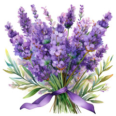 Fototapeta premium Watercolor painting of lavender full of flowers, in arrangement isolated on image with neutral background.