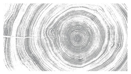Circular detail of tree rings pattern cut wood texture. Light gray and white ring pattern from a felled tree wood slab.