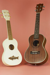 Ukulele. Hawaiian instrument that resembles a guitar but smaller in size with four strings that give it a unique sound.