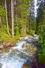 Das Valzifenztal in St. Gallenkirch im Montafon (Vorarlberg, &Ouml;sterreich)