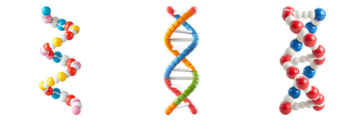 Vibrant DNA Models Showcasing Genetic Diversity and Structure in Scientific Study
