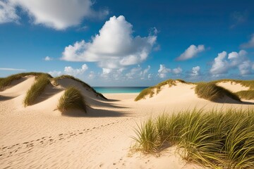 Tropical Beaches with Rolling Dunes and Golden Sands Under an Azure Sky