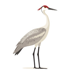 Obraz premium Crane bird or heron silhouette vector illustration.