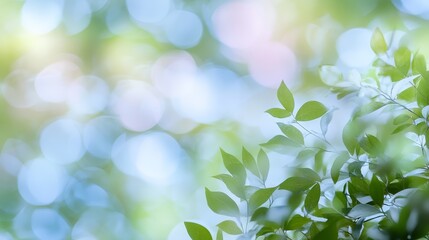 Abstract Green Leaves with Bokeh Background