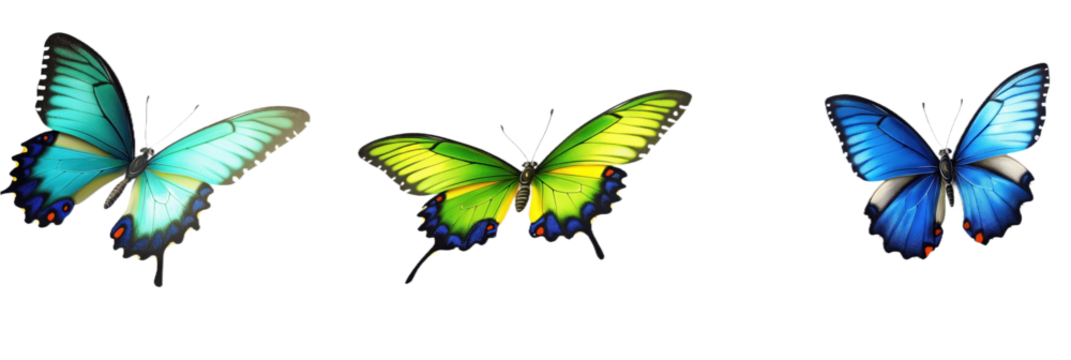 Three colorful butterflies in triangular formation on gray background. Vibrant blue, yellow, soothing green wings. Unique color scheme, macro close-up, beautiful butterflies in group, isolated on