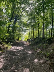 parc, foret 
randonnée en ile de france