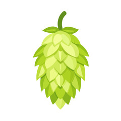 Obraz premium hop fruit