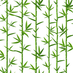 Obraz premium bamboo pattern