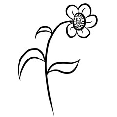 illustration of a flower