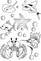 A collection of animals that live in water without color, can be used for children to learn to color 