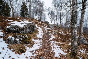 Narrow hiking trail leading through snowy forest in winter