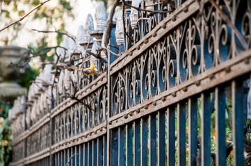 beautiful wrought fence. metal fence close up