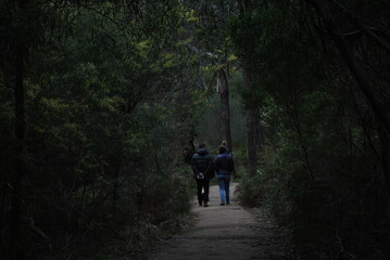 Obraz premium Family Walk