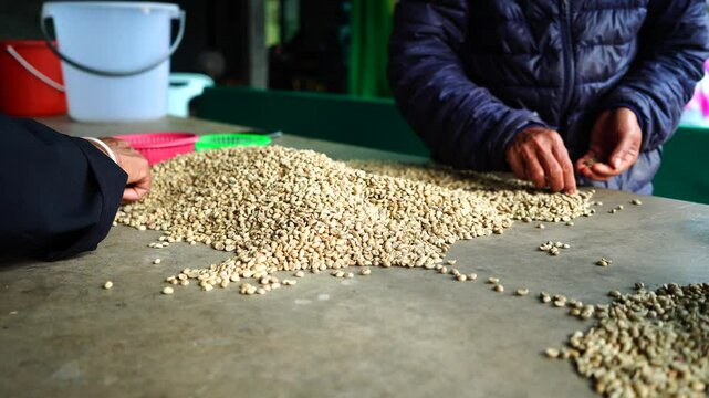cutting out foreign objects out of coffee beans
