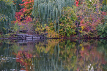 Autumn at Parc Angrignon, Quebec, Canada