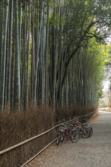 Bicycle parking in the Arashiyama Bamboo Grove, Kyoto, Japan.