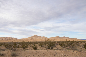 Kelso Dunes, Mojave National Preserve, California