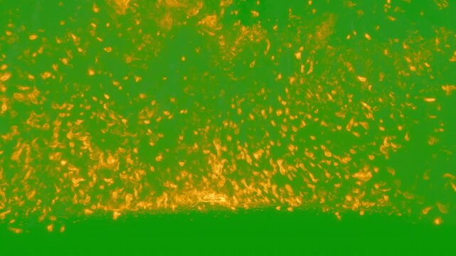 Massive fire storm explosion with embers flames and smoke, the fire engulfs the camera, green screen for transparent background, 24p