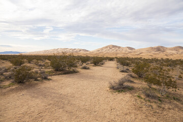 Walking path to Kelso Dunes, Mojave National Preserve, California