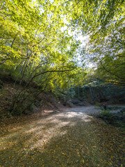 Autumn panorama of Vitosha Mountain, Bulgaria