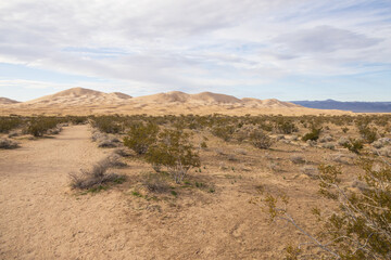 Walking path to Kelso Dunes, Mojave National Preserve, California