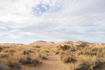 Walking path to Kelso Dunes, Mojave National Preserve, California