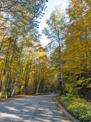 Autumn panorama of Vitosha Mountain, Bulgaria
