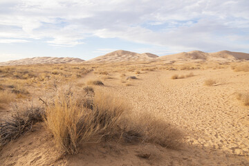 Kelso Dunes, Mojave National Preserve, California
