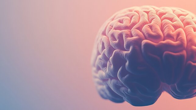 Close-up of human brain withintricate neural pathways,symbolizing cognitive biases andcomplex thought processes, idealfor educational or scientificpresentations.