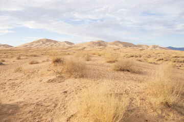 Kelso Dunes, Mojave National Preserve, California