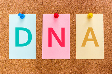 Conceptual 3 letters keyword DNA (Deoxyribonucleic Acid) on multicolored stickers attached to a...