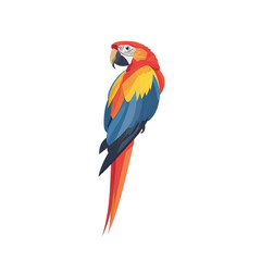 Fototapeta premium Colorful Macaw Parrot Bird Illustration on transparent background