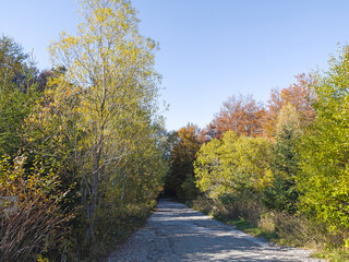 Obraz premium Autumn panorama of Vitosha Mountain, Bulgaria